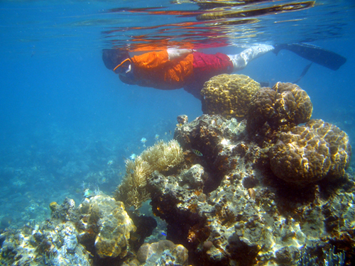 snorkling