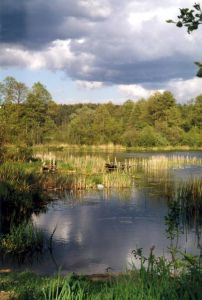 Mazury