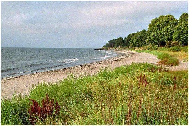 Plaża Ystad