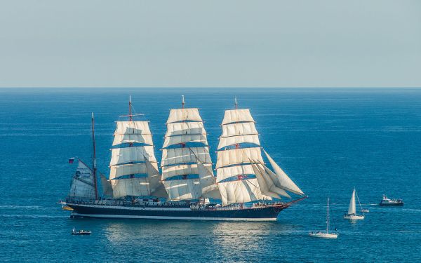 Sedov